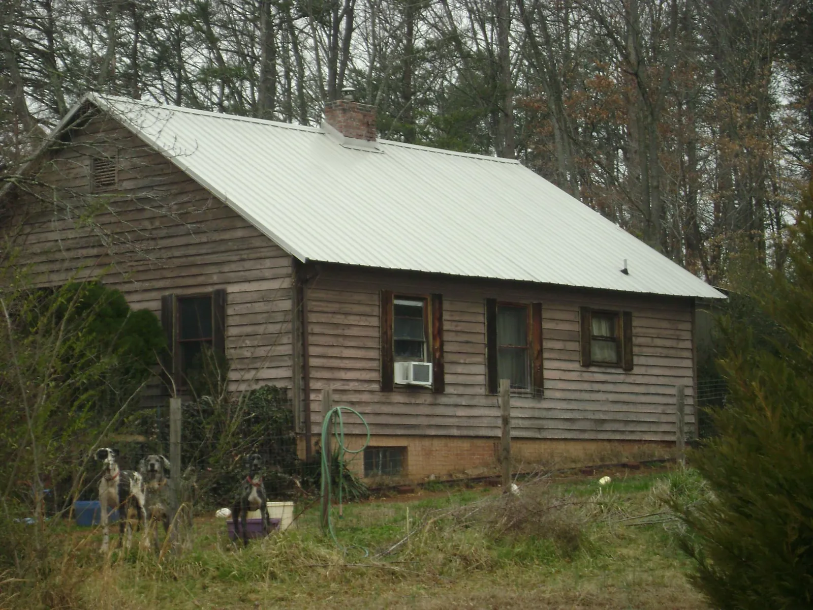White metal roof on an old wood sided farmhouse, from a Asphalt Shingle Roof Repair job in Essig